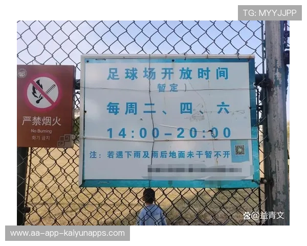 中国足球文化建设如何增强国际软实力，基于文化视角下 中国足球的发展困境与出路