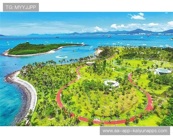 生态完善🤝系统化